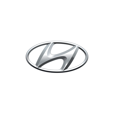 Hyundai (any model) Fully Bespoke Mobile Remap Service